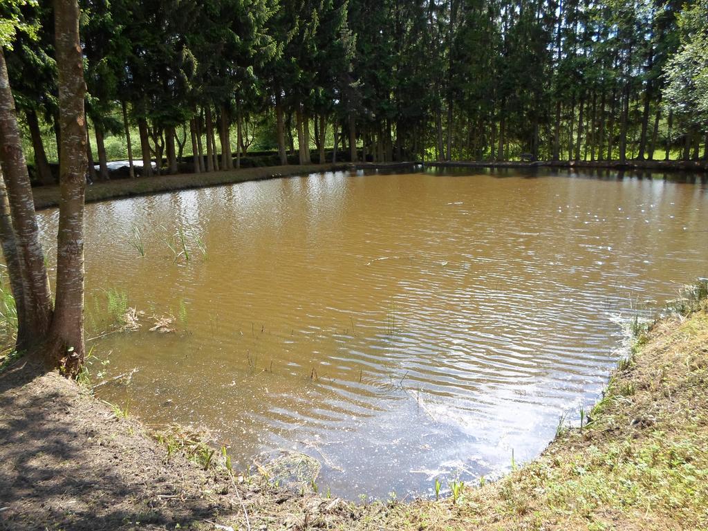 Camping Les Pinasses La Chapelle  Экстерьер фото